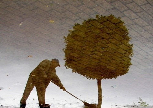 Тени мусорщика и дерева отражаются в воде. Фото