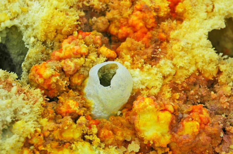 вулкан Даллол (Эфиопия). Фото / Dallol volcano (Ethiopia). Photo
